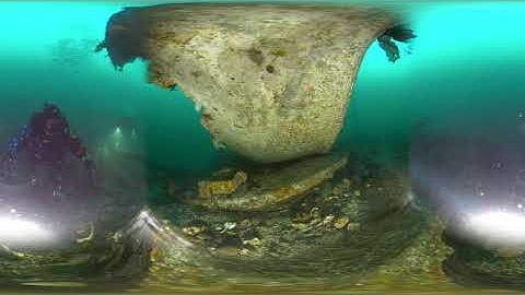 Insta360 One X in dive housing first test #360video