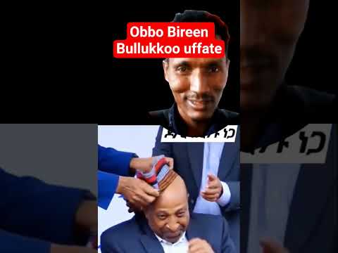 Dr Tolaa Bariisoo Dr Birhaanuu Naggaa Bullukkoo Itti Uffise Duet Globalpt Habesha Office