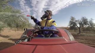 Oli Verge Extra. Mas Marquet-Sarau Agrícola