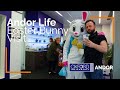 Oxford instruments  easter bunny visits andor