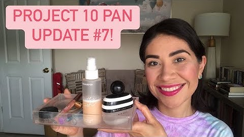 Project 10 Pan Update #7!
