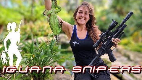 Iguana Snipers: Come Iguana Hunting with Iguana Solutions in South Florida with our Brocock Airguns!