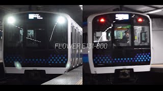 FLOWER E131-800