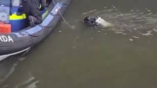 Garda divers recover attack weapon from River Liffey, Dublin