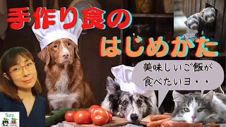 手作り食はどうやって始めればいい？与える量の目安は？サプリは必要？