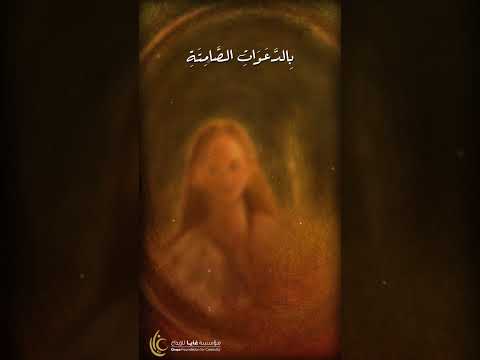 بين السطور كلمات مستخبية الحلقة السابعة عشر