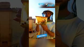 Интересные факты о пчёлах! №2 🍯🐝#пчелы #факты #здоровье #мёд #пчеловодство #топ #еда #рек #интересно
