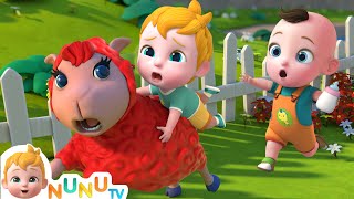 Baa Baa Sheep | Kids Songs & Nursery Rhymes | NuNu Tv