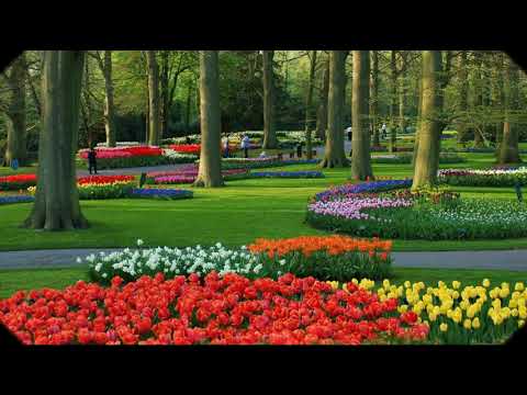 عبدالعزيز محمد داود وعابدة الشيخ مصرع زهرة الشاعر الكبير حسين عثمان منصور