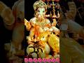 Aarti Ganeshji #ganpatibappamorya #status #shorts