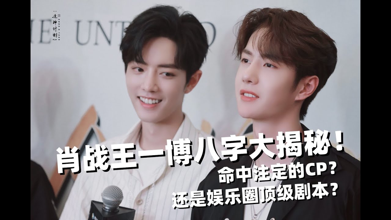 こんぺいとう さん　専用　王一博肖战 10cm こんぺいとう さん 専用 王一博肖战 10cm こんぺいとう さん