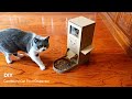 How to make tom cat food dispenser from cardboard diy cardboard cat dispenser crafts