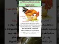 عملية تلقيح الديك للدجاجة معلومة  معلومات  ترفيه  الغاز صعبة  سؤال وجواب  ثقافة  أخبار  لغز و معلومة