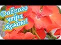 Доброго утра желаю! 🌸Прекрасного дня!🌸Красивая музыкальная видеооткрытка🌸