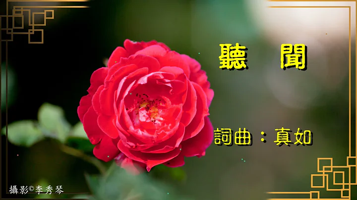 我爱赞颂-听闻 - 天天要闻