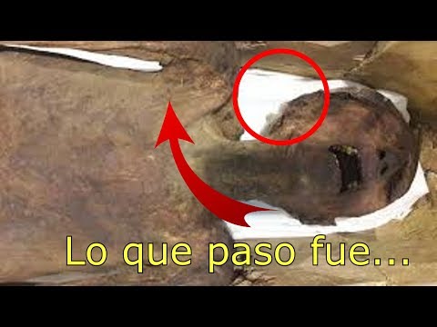 Vídeo: Resuelto El Enigma De La 