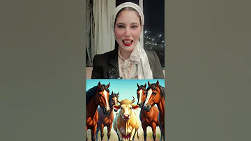 لما البقرة تقرر تبقى حصان اكتشفوا أصل مثل مع الخيل يا شقراء في برنامج مثل وحكاية مع د رانيا مصطفى 