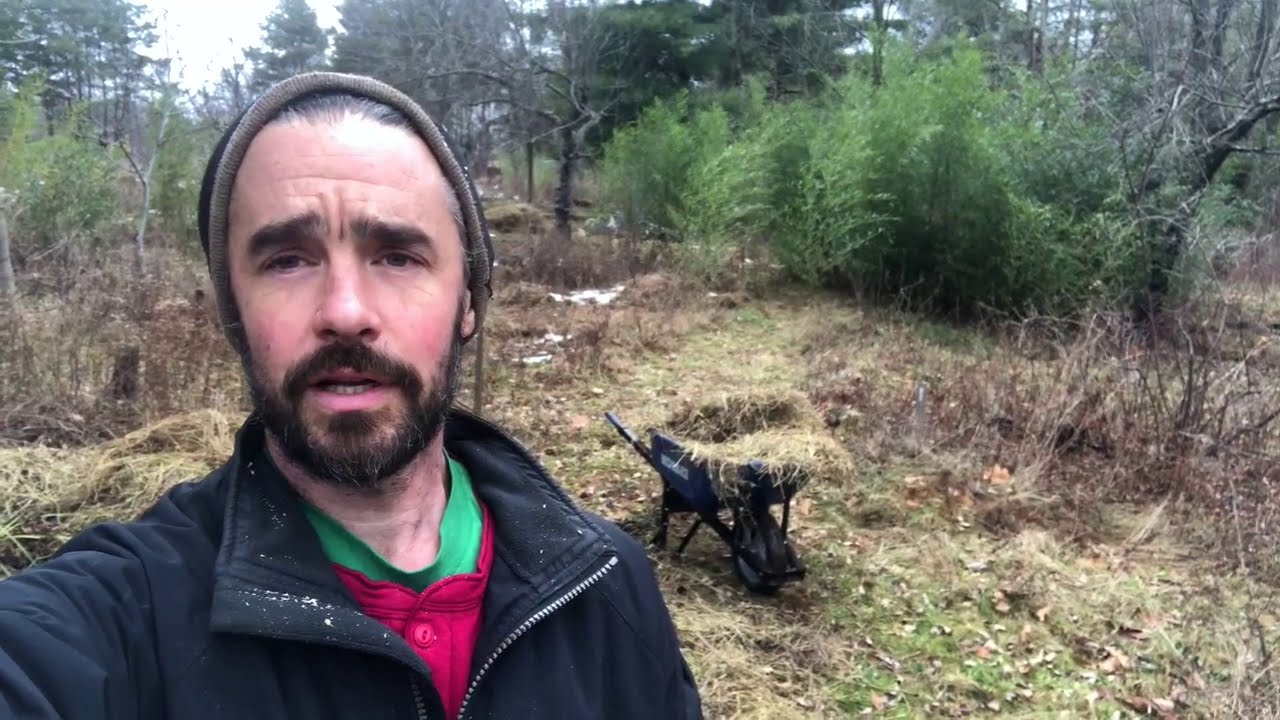 Winter Work - Capping Hugelmounds with rich hay for spring gardens