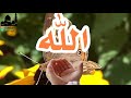 يارحمن ارحمنا حالات واتساب اسلاميه 