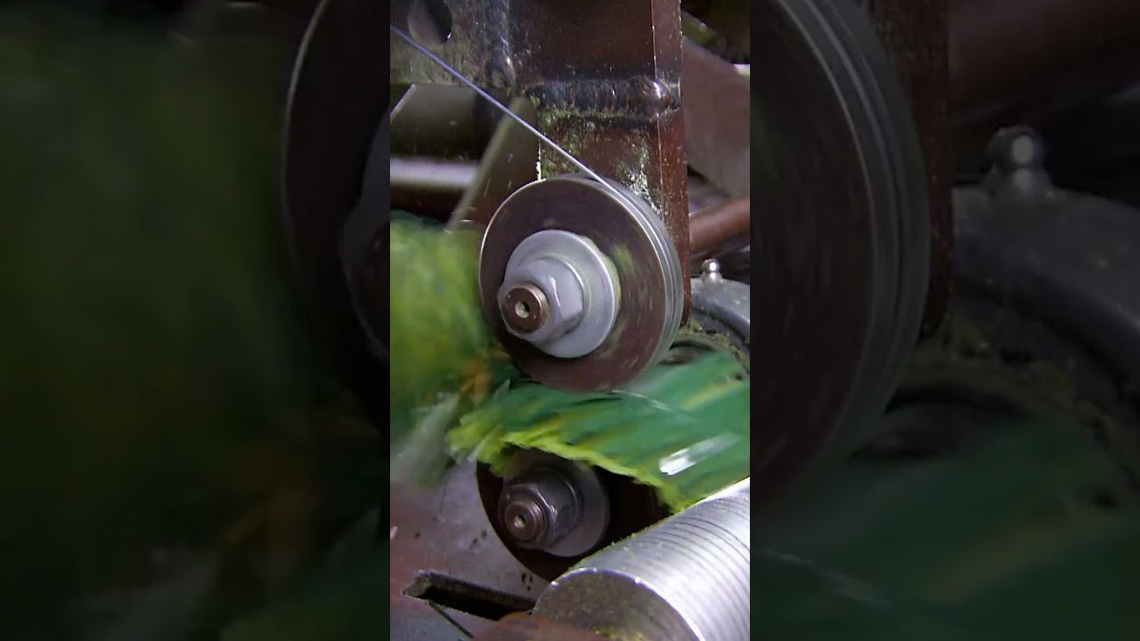 The Twisted Creation of Artificial Snowy Trees | How It's Made | Science Channel