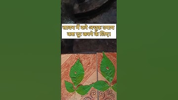 सावन मैं करे अचूक उपाय कष्ट दूर करने के लिए।#pandit_pradeep_ji_mishra #upay #shorts #sawan