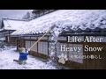 A Snowstorm Day &mdash; Life of Mata, a Northern Cat
