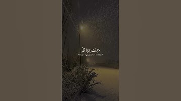 تلاوة خاشعة ياسر الدوسري