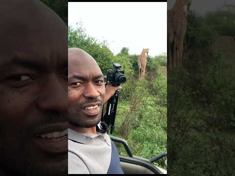 Video: Nairobi National Park: Phau Ntawv Qhia Ua tiav