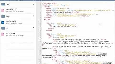 How to make previewer browser working properly with dropbox (iPad) - Koder 3