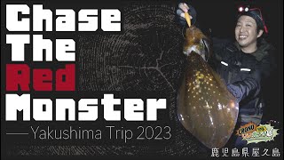 【CRONOでもいいカンジ ④】Chase The Red Monster　in屋久島