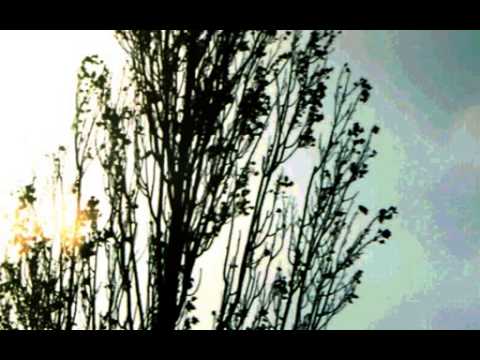 მოცრაძის ლექსიიი....