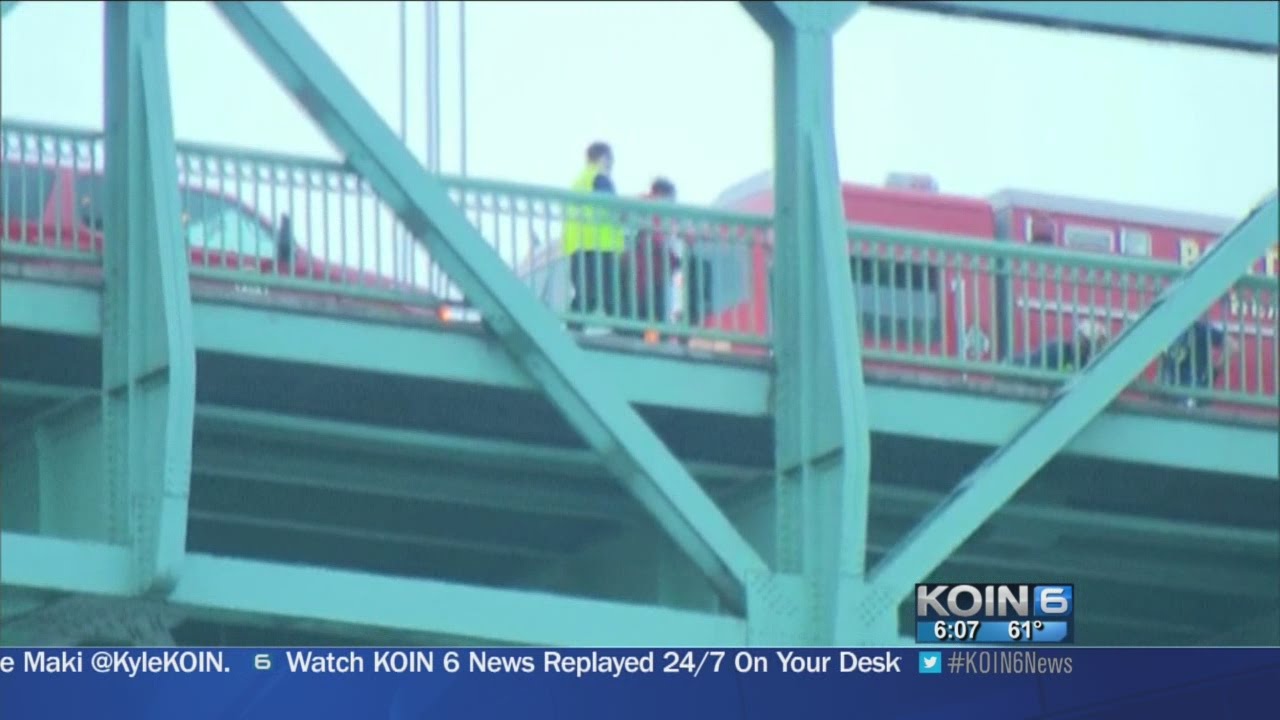 Portland Fire rope rescue team saves kitten trapped on St. Johns Bridge ...