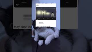 the solution to light pollution is actually so simple