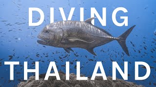 Diving Koh Bon, Richelieu Rock, and the Similan Islands in Thailand!