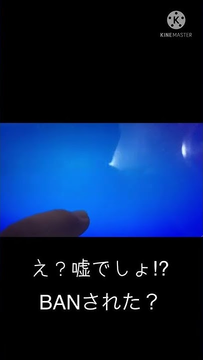 Pr プリン大好きくん W Youtube