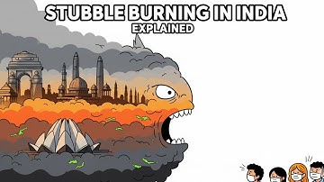 What is Stubble Burning? | Causes, Impacts & Solutions | Explained with Animation