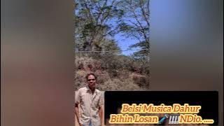 Belsi_-_Musica_-_Dahur_-_Bihin_-_Losan