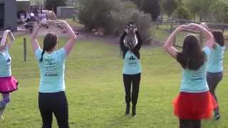 GISHWHES 2014 - Item 135 - Dance of the Acyclic Graph