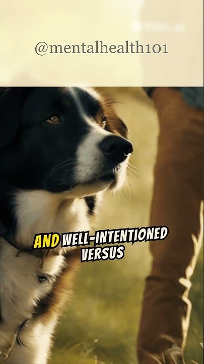can-dogs-tell-if-a-person-is-good-or-bad-youtube