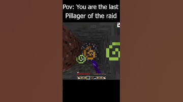 Pov: You are the Last Pillager #minecraft