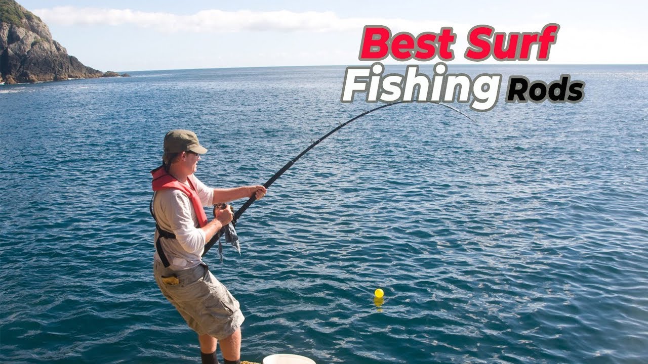 6 Best Surf Fishing Rods you could try 
