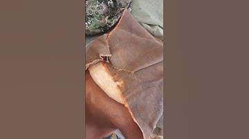 #سورة_الزمر #ماهر_المعيقلي #allah #اكسبلور #nature #farming #automobile #بركان #ترند