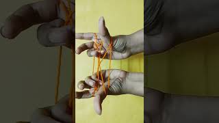 cat's cradle with opening closing gates