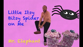 Little Itsy Bitsy Spider On Me Kids Music Movement Body Parts