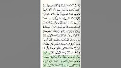 سورة النحل - من الآية 1 حتى الآية 29