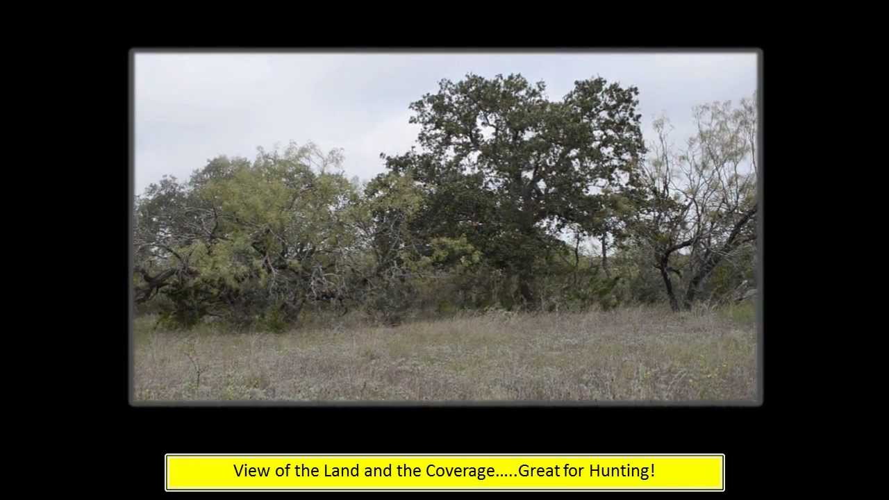 Joyce Martin Real Estate (25 Acres with 2 Bed/1 Bath Cabin) YouTube