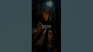 اللهم يا مسخر الجبال الراسية والقلوب القاسية والعباد العاصية سخر لي 