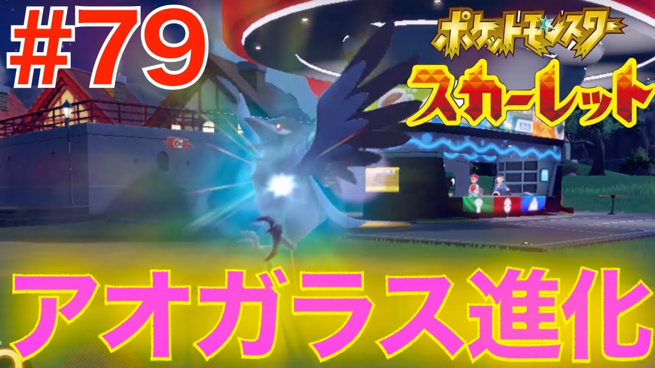 79 アオガラス進化！たくましいカラスw【ポケットモンスター