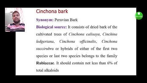 Introduction of morphology and microscopy of Cinchona bark