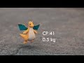 POKEMON GO IN REAL LIFE, LITERALLY